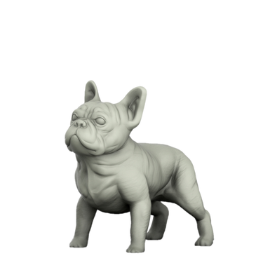 French Bulldog